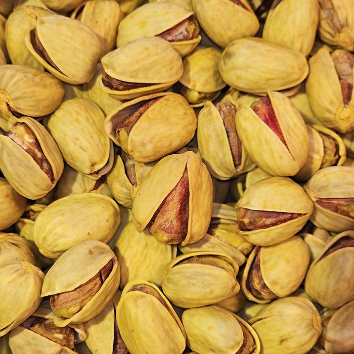 پسته کله قوچی 1 تواضع اصل *