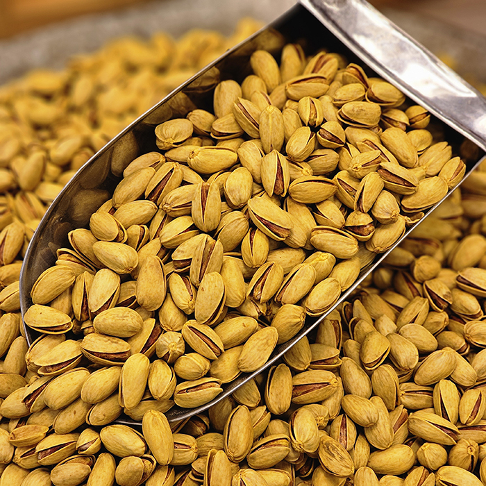 پسته اکبری مخصوص تواضع اصل